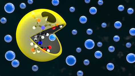 How to Bind with Metals and Water: A New Study on EDTA