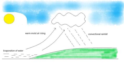 Types of rainfall | Convectional, Orographic, Cyclonic