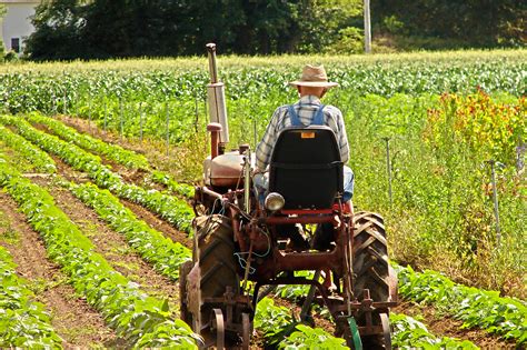 Photo Gallery - Four Town Farm