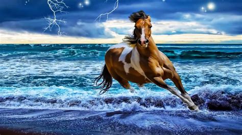 Horses on the Beach Wallpaper - WallpaperSafari