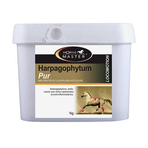 Harpagophytum - Equine Veterinary Services