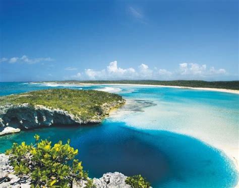 Blue Holes: A Journey to The Bahamas’ Hidden Waters