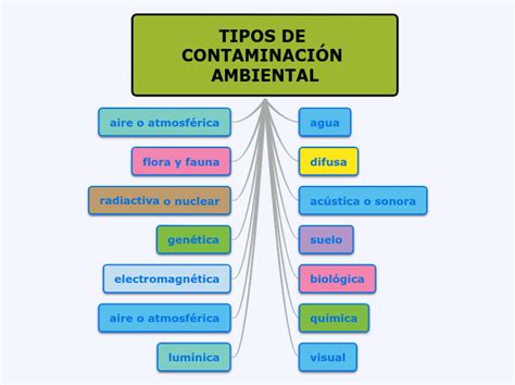 Tipos de contaminacion ambiental - Mind Map