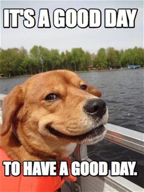 101 "Have a Great Day" Memes - "It's a good day to have a good day ...