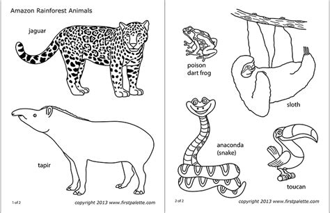 Jungle Animal Templates Free Download - FREE PRINTABLE TEMPLATES