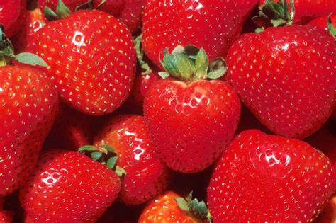 Freeze-Dried Strawberries Significantly Lower Cholesterol Levels | Dr ...