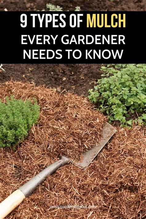 Pin by Eileen on gardening | Types of mulch, Garden mulch, Mulch for ...