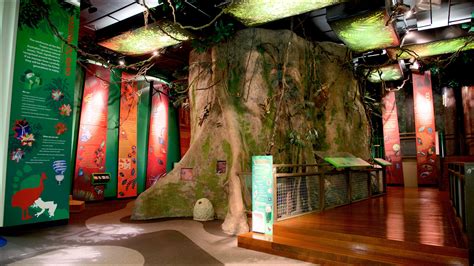 Museum of Tropical Queensland, Townsville City holiday accommodation ...