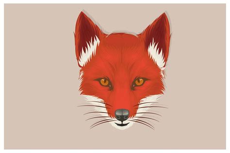 Hand drawn fox head in front view 1314220 Vector Art at Vecteezy