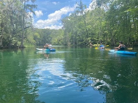 Silver Springs Kayaking LLC - 2020 All You Need to Know BEFORE You Go ...