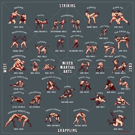 Chicagoan Creates Illustrated Guide to Martial Arts Styles | Chicago's MMA