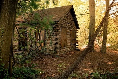 Living in a Log Cabin: The Pros and Cons - Cabin Lane