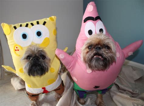 Cute Spongebob and Patrick Dog Costumes - Costume Yeti