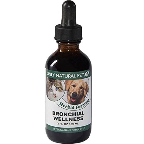 Exploring The Best Natural Cough Suppressants For Dogs