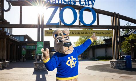 What Do UMKC and the Kansas City Zoo Have in Common? Kangaroos ...