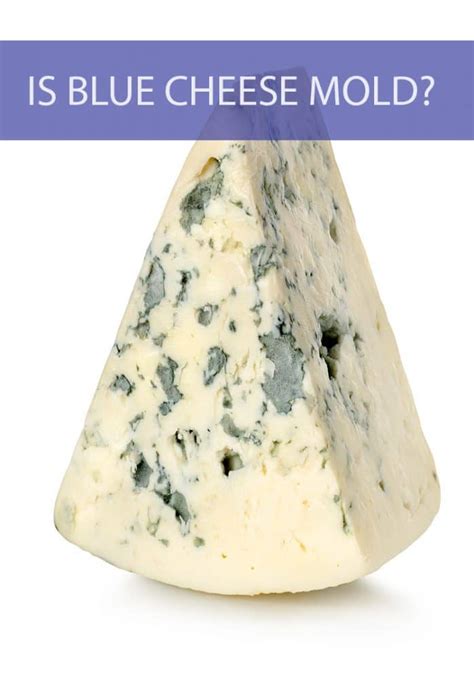 Is Blue Cheese Mold? - The Cookful