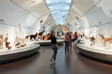 4 Museums to Visit in Brussels, Belgium | Jana Meerman