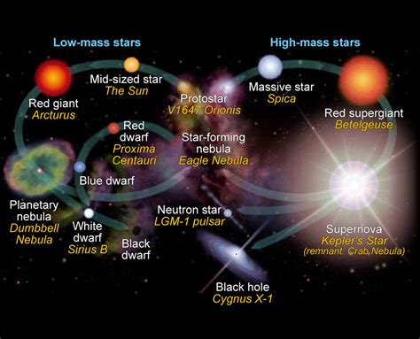 H-R Diagram and Star Life Cycles | Astronomy Lab | | Course Hero