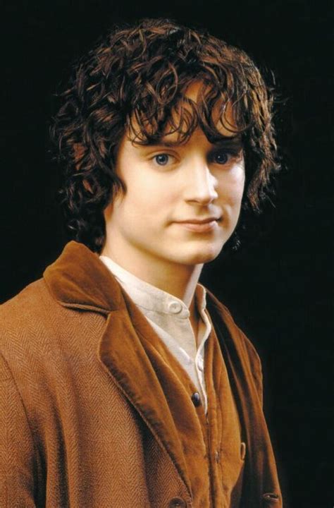 Frodo Photo: Frodo Baggins | Frodo baggins, The hobbit, Lord of the rings