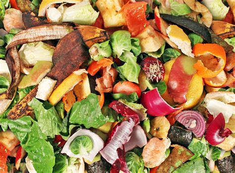 NYC to triple food waste compost program in 2017 to reach a million ...