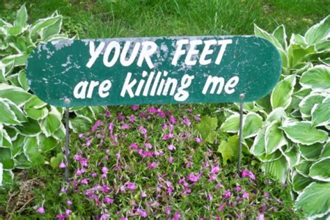 30 Witty, Hilarious, and Funniest Yard Signs | eSigns