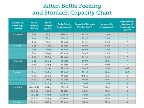 34 HQ Images Bottle Feeding Kittens Video / Your Guide To Weaning ...