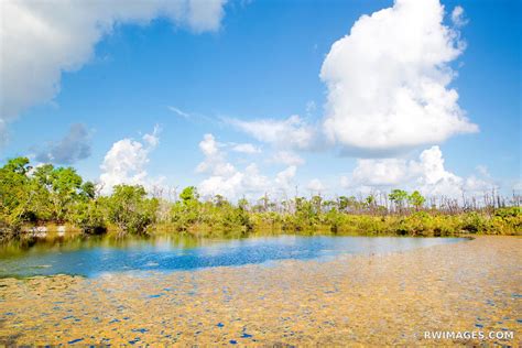 Photo Print of BLUE HOLE WILDLIFE REFUGE BIG PINE KEY FLORIDA Print ...