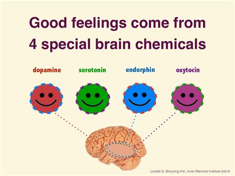 Happy brain chemicals: Dopamine, Serotonin, Oxytocin and Endorphin