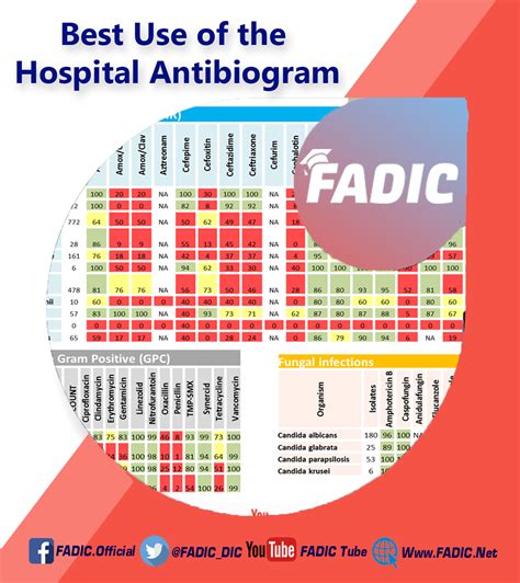 Antibiogram: Definition, Uses, and Benefits