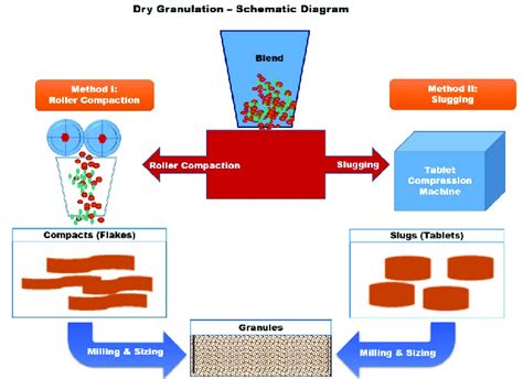 Dry Granulation Flow Chart