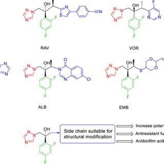 New generation of azole antifungals based on the fluconazole structure ...