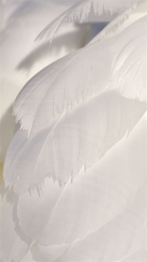 Wallpaper Texture, Feather Wallpaper, Iphone Background Wallpaper ...