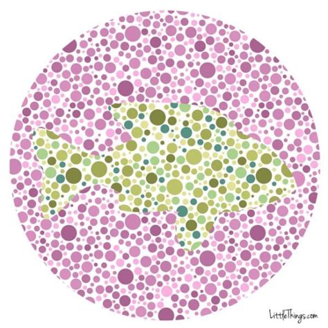 Color blindness test kids - fetievolution