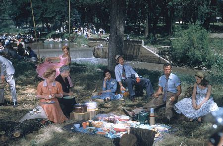 Picnic Movie 1955