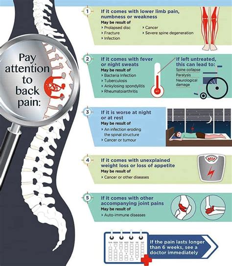 Fever and Back Pain - Chiropractic Scientists | 915-850-0900