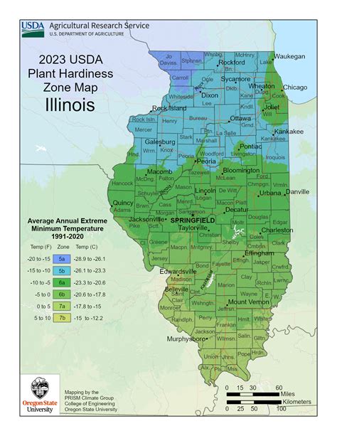 Illinois Vegetable Planting Calendar: A Quick and Easy Guide - Ponics Life