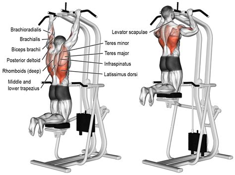 Comment effectuer les tractions assisté lesté ? | Good back workouts ...