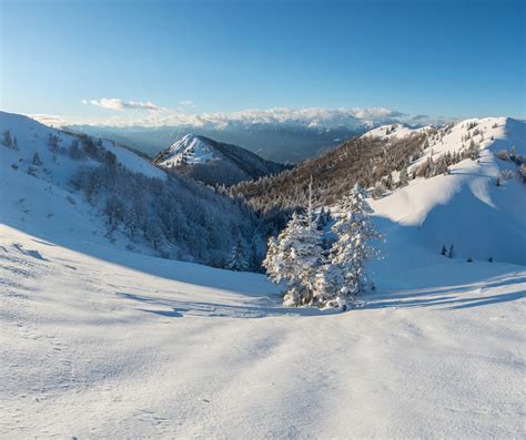 Soriška Planina Ski Resort在Savica