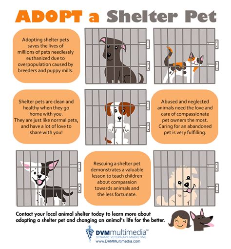 Why adopt a pet? - CARA Welfare Philippines