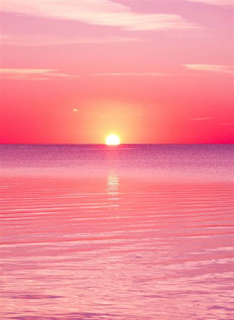 1544 Pink Sunset | IPhone Wallpaper | Pink sunset, Sunset wallpaper, Sunset