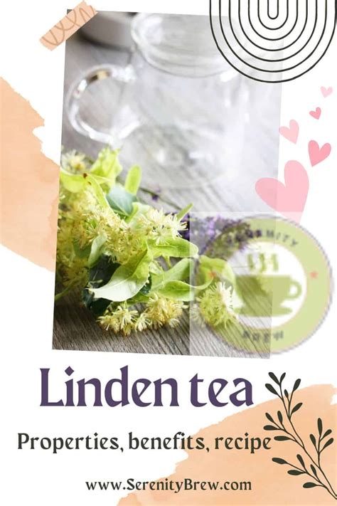 Linden tea: properties, benefits, recipe - Serenity Brew