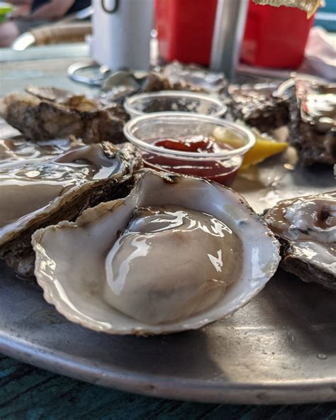 [I ate] Extra large Irish oysters : r/food