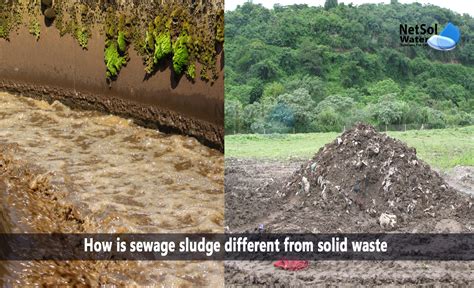 How is sewage sludge different from solid waste