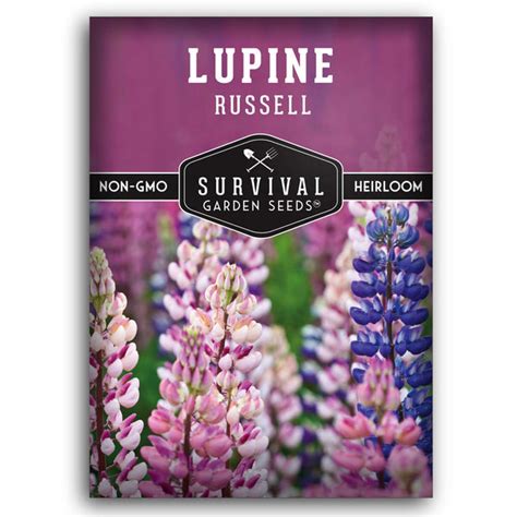 Seed Collection - Lupine Seeds - SurvivalGardenSeeds