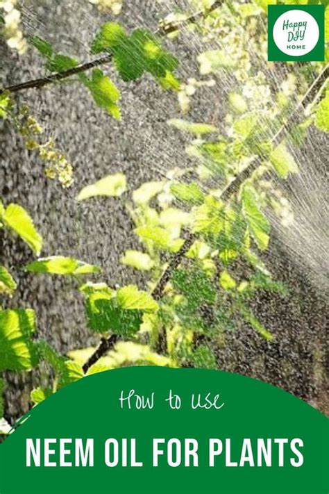 How to Use Neem Oil for Plants | Happy DIY Home