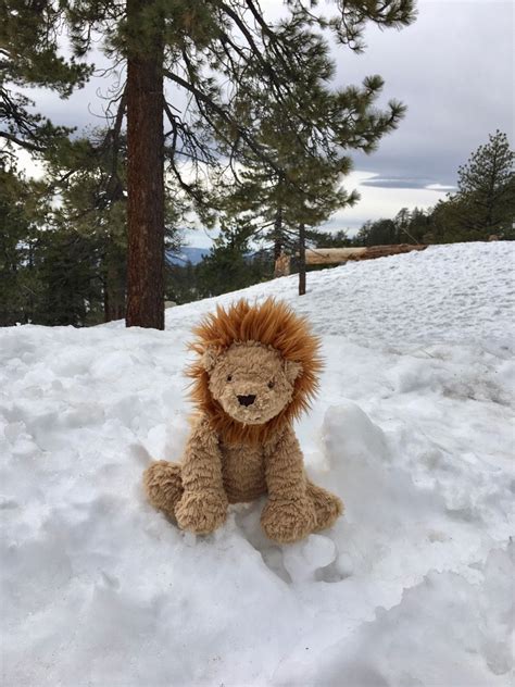 Mt. Pinos - Frazier Park Snow Day | Kid friendly vacations, Day trip, Trip