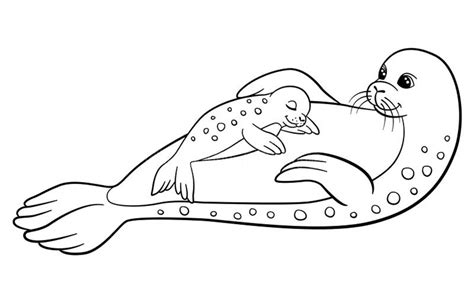 Seal Coloring Sheet