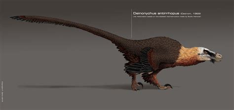 Deinonychus antirrhopus 2015 by DELIRIO88 on DeviantArt