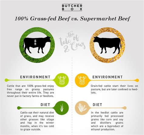 Grass-Fed vs Grain-Fed Beef - What's the Difference? - Just Cook