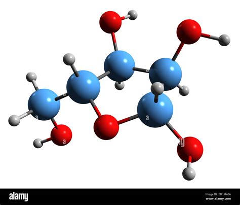 Nucleotide sugar metabolism Cut Out Stock Images & Pictures - Alamy